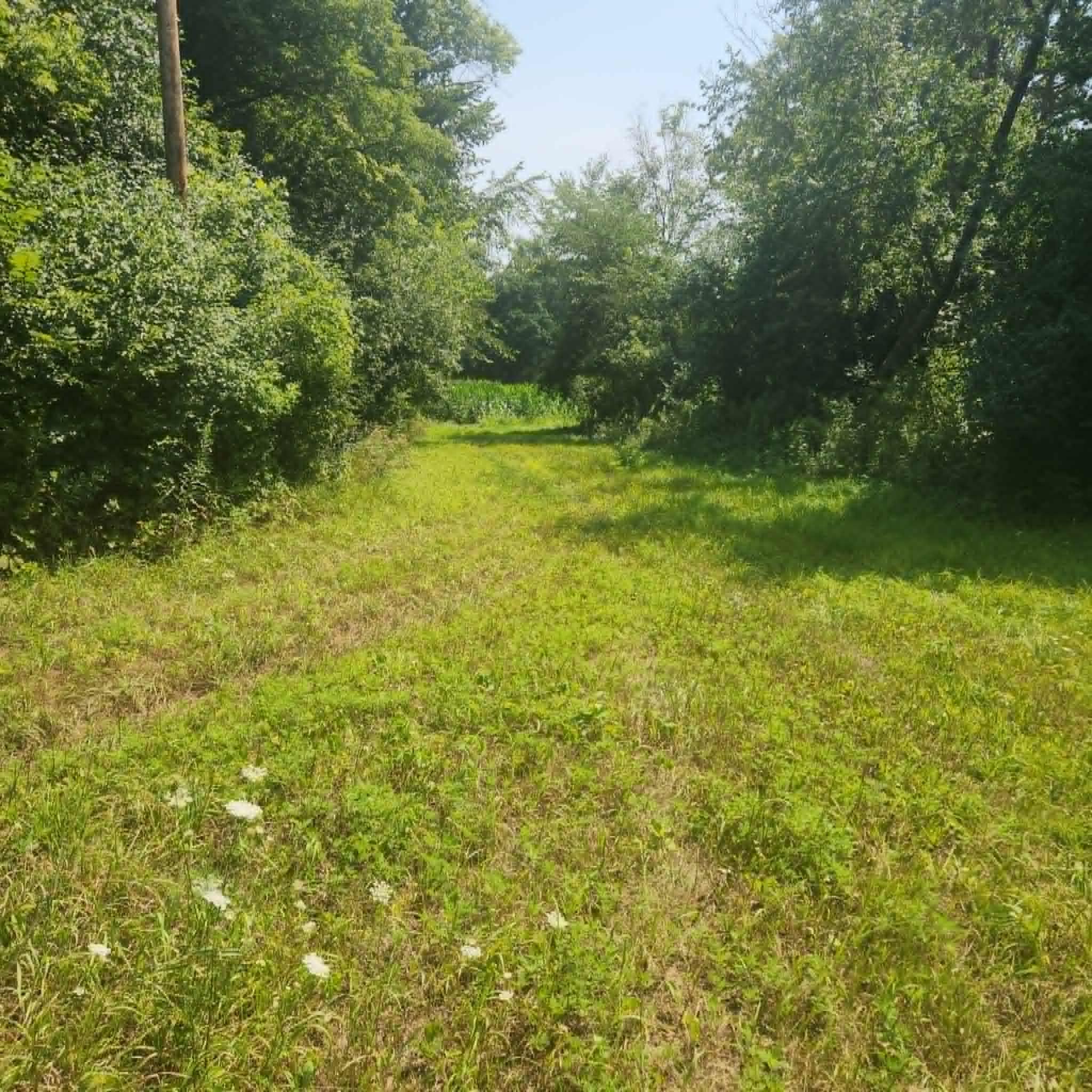 Xxx 220th Ave Lot 2 Property Photo 1