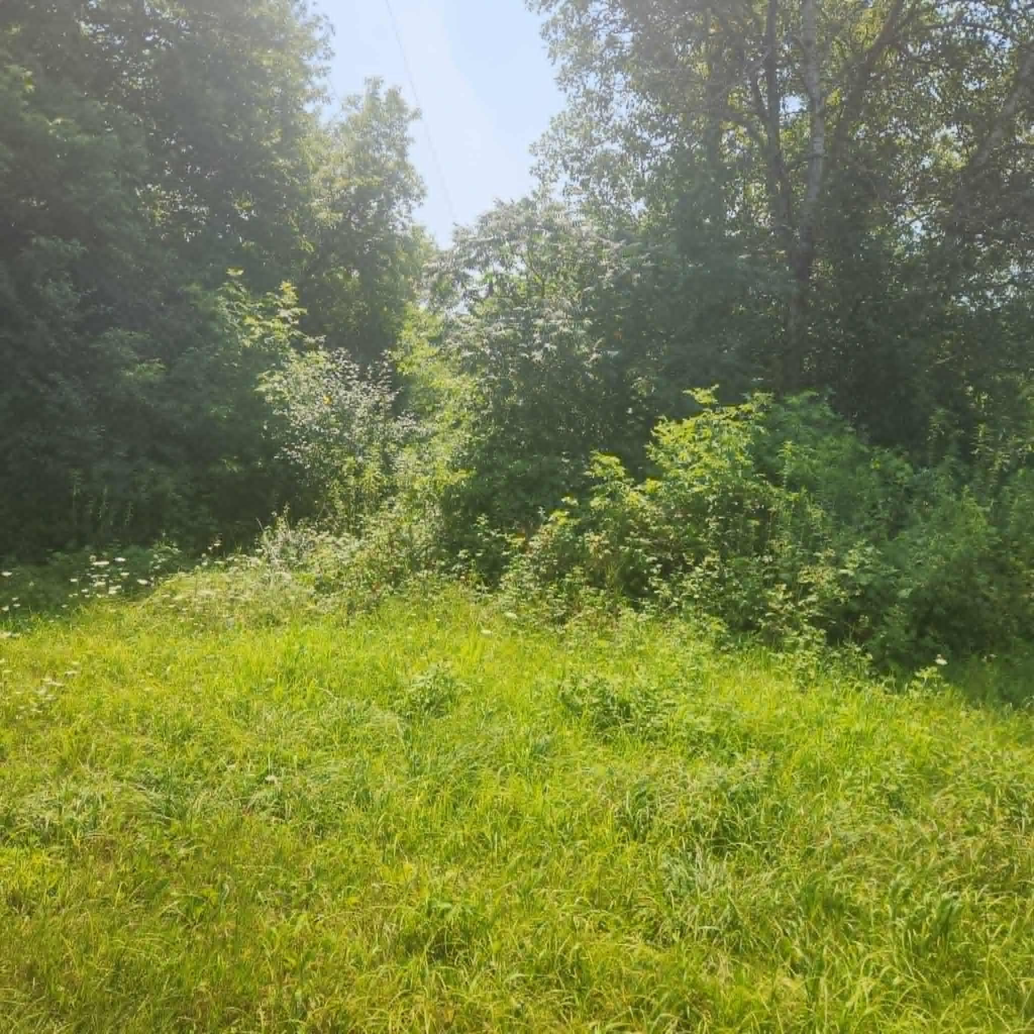 Xxx 220th Ave Lot 2 Property Photo 3