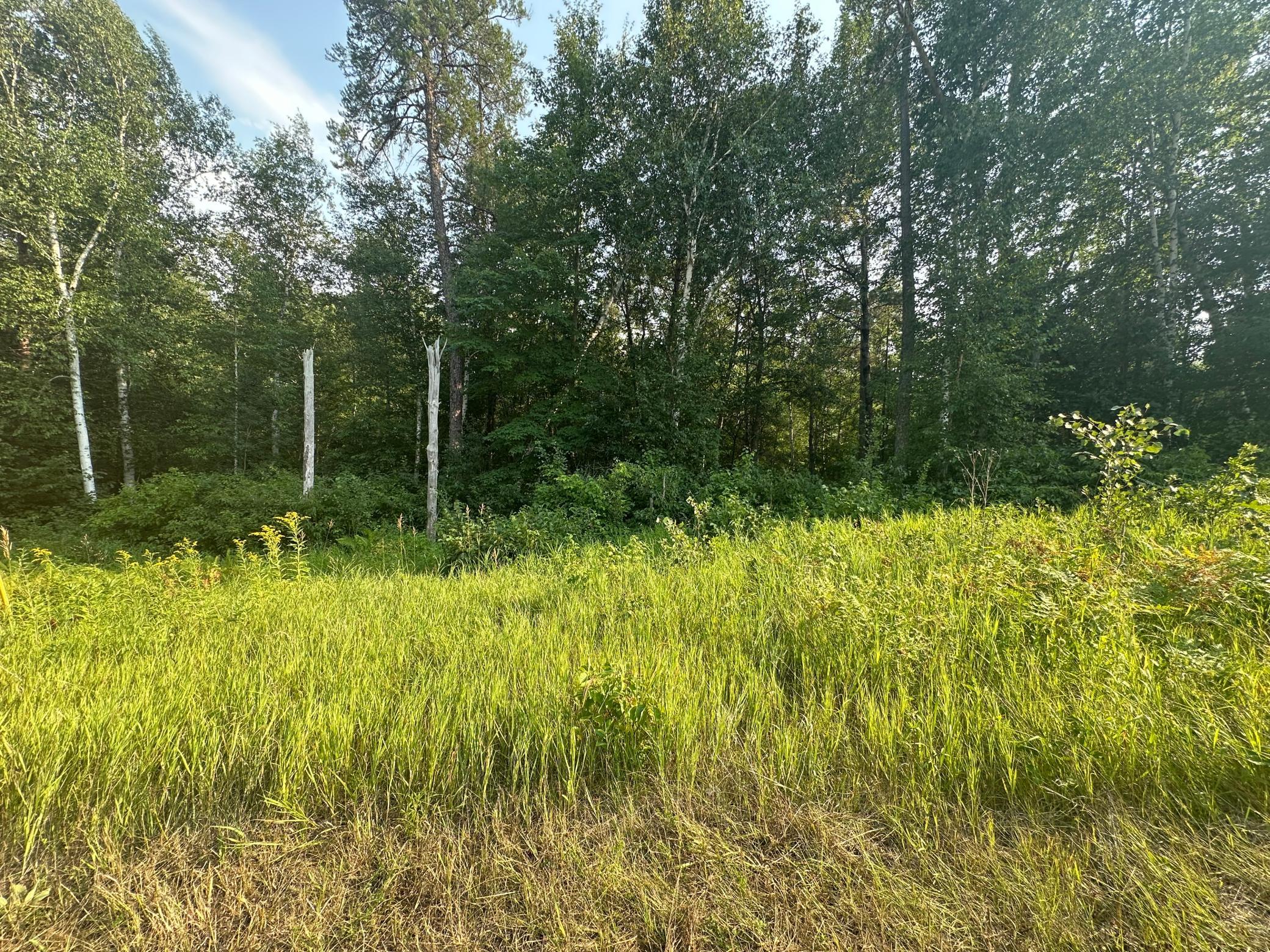 Tbd Ski Chalet Dr Property Photo 3
