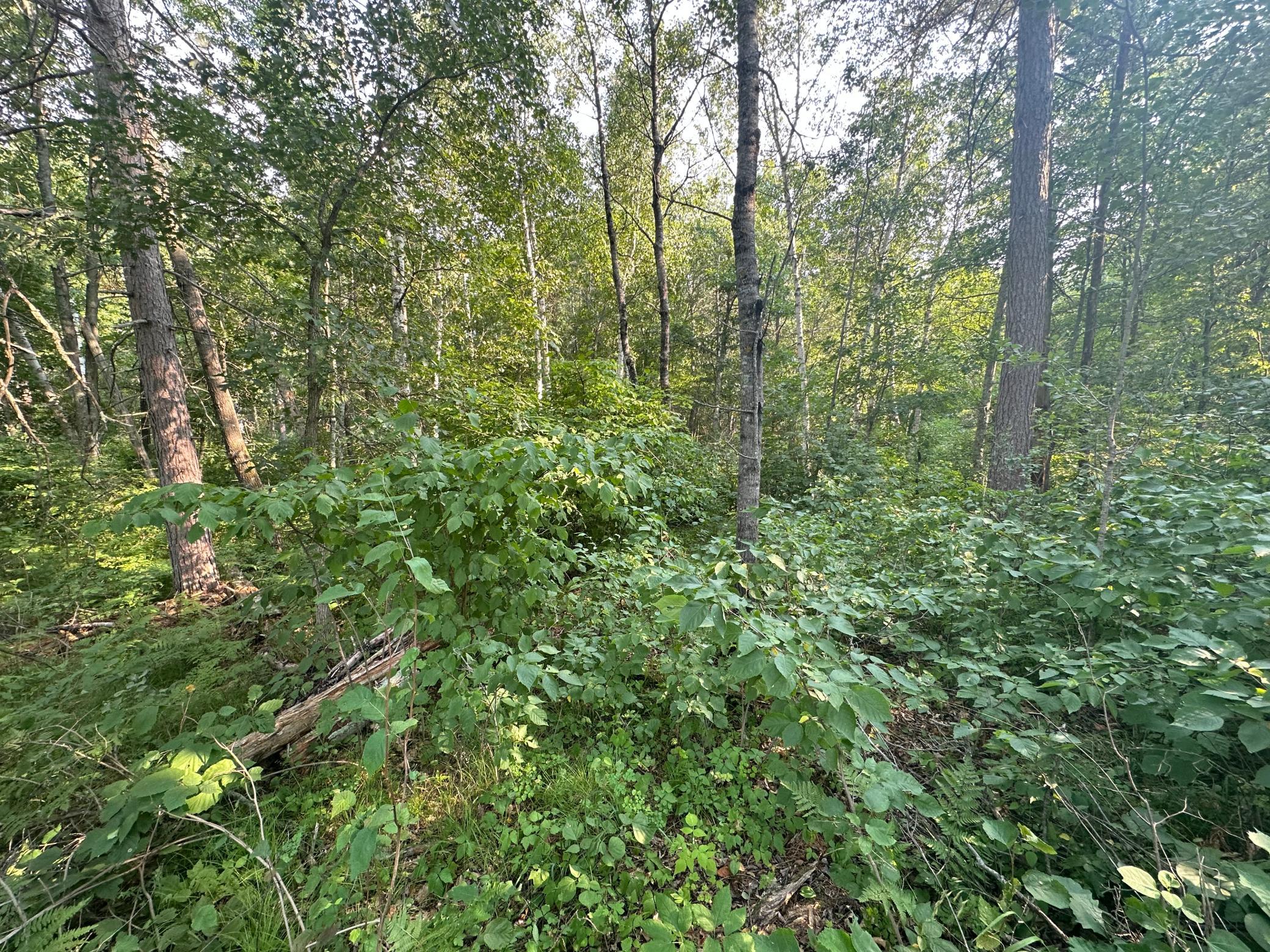Tbd Ski Chalet Dr Property Photo 6