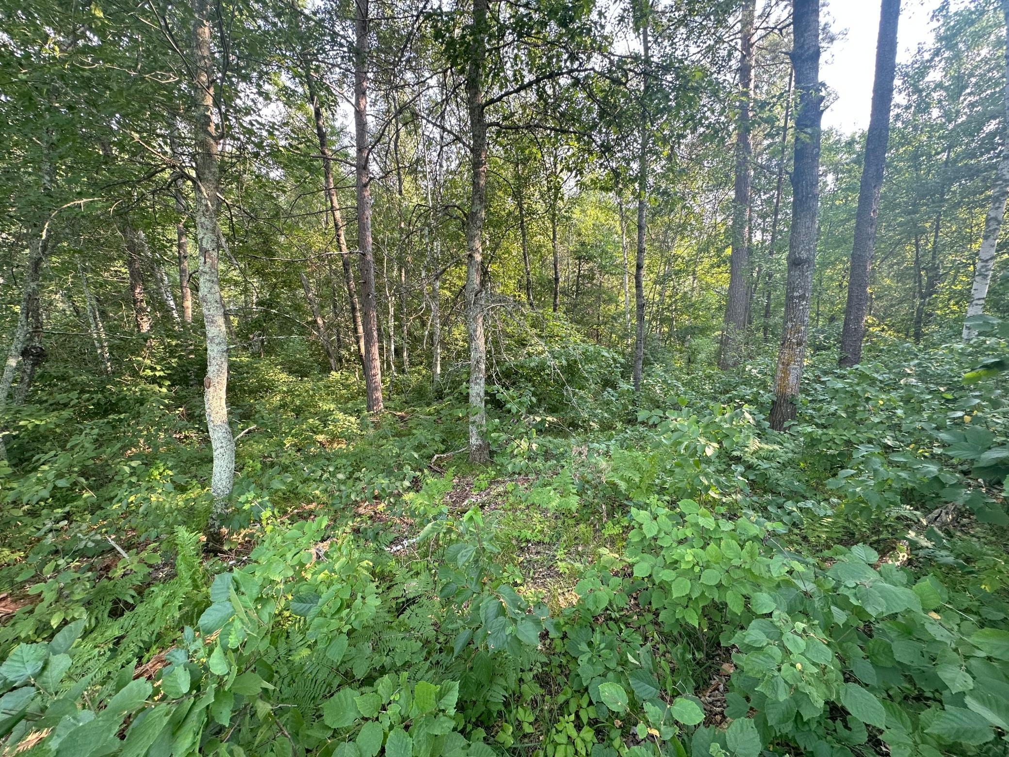 Tbd Ski Chalet Dr Property Photo 7