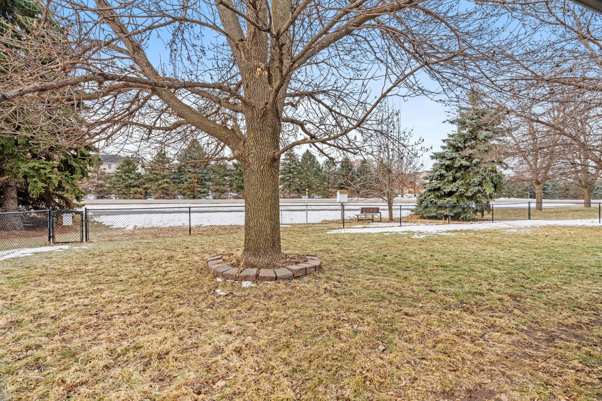 950 Herbert Street Property Photo 6
