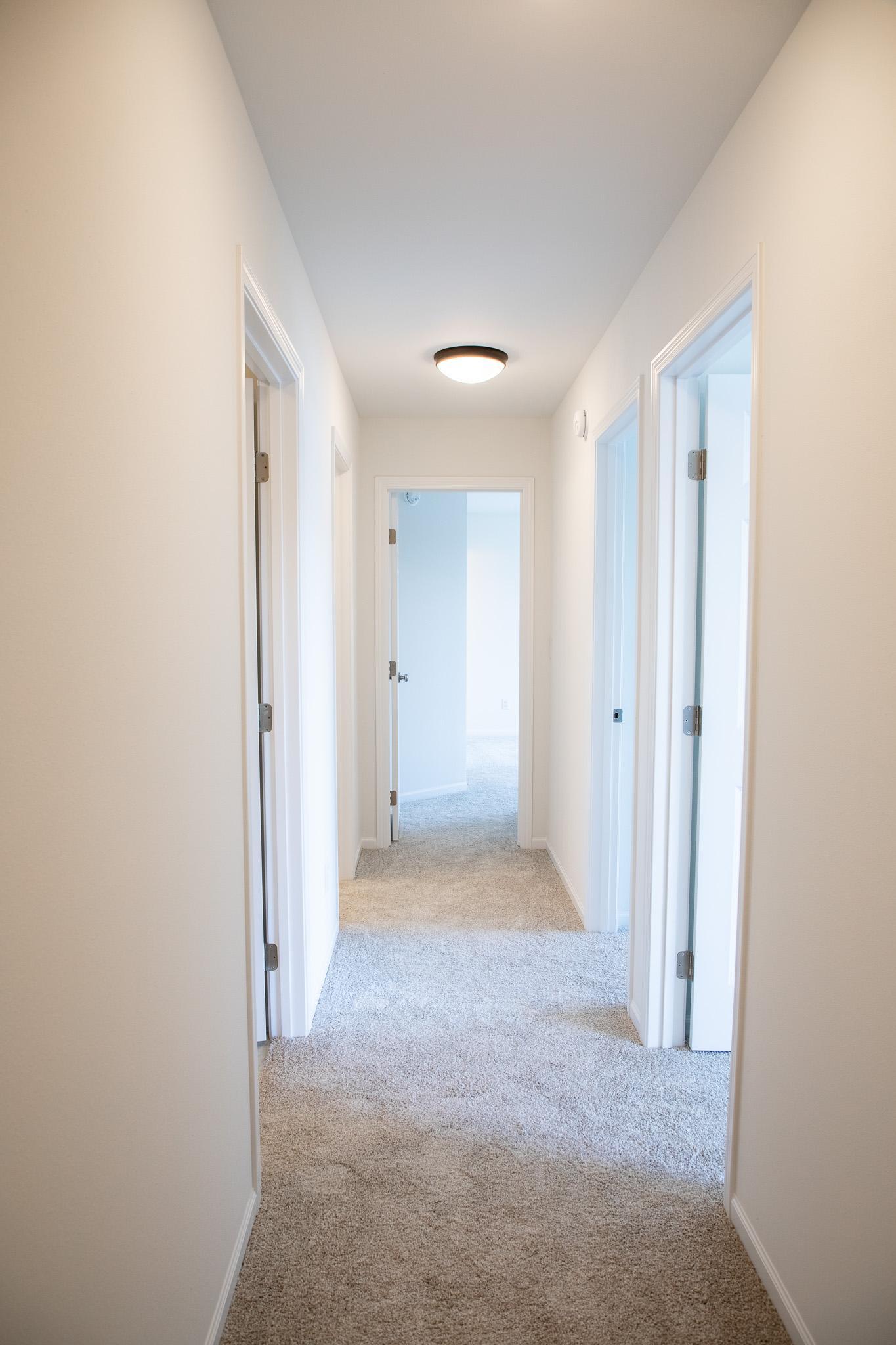 6317 83 Avenue Property Photo 11