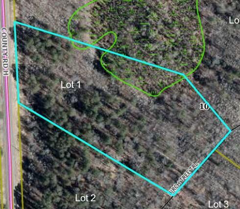 Lot 2 Birch Tree Trl Property Photo 14