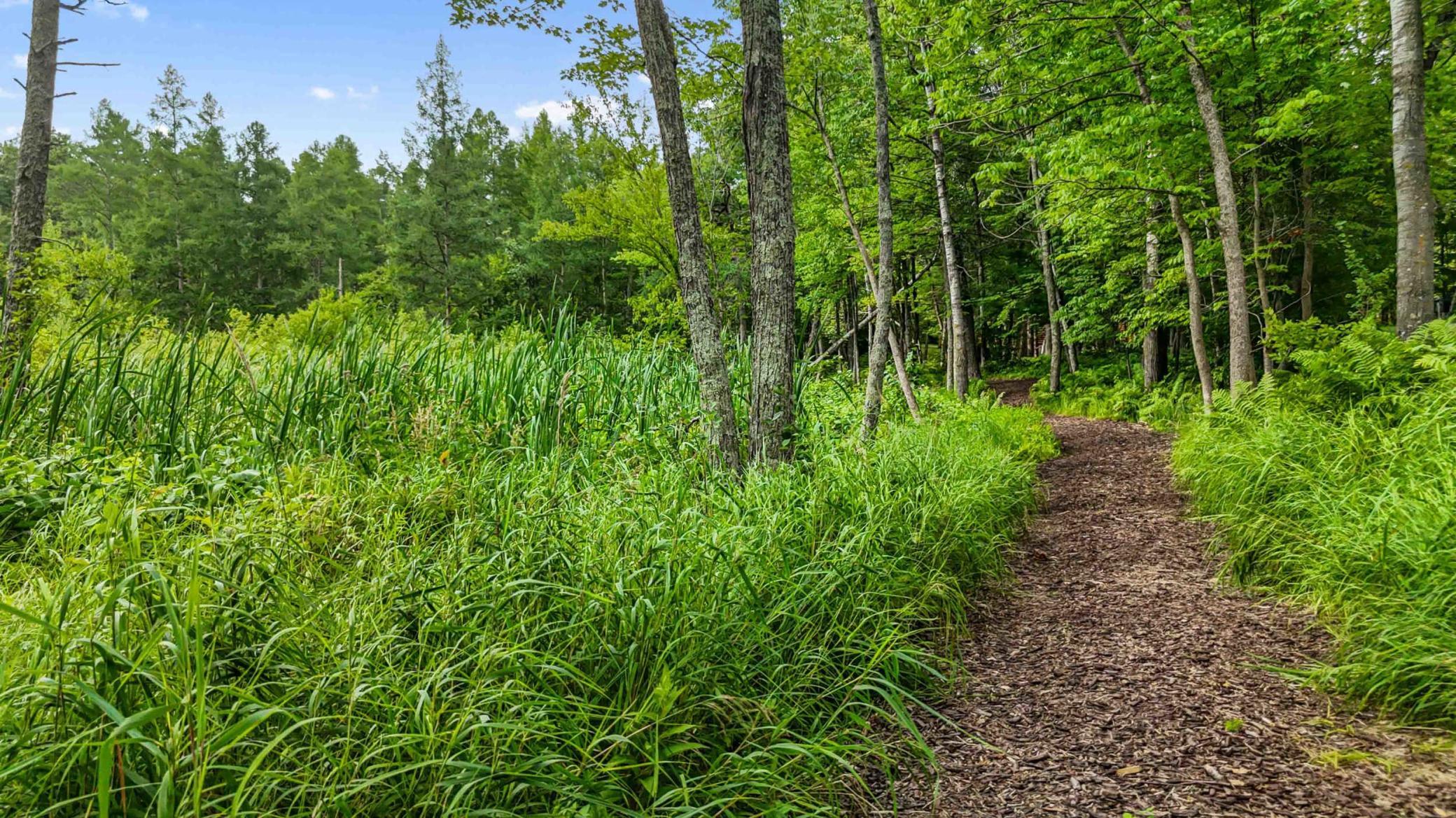 37739 Pickerel Trail Property Photo 61
