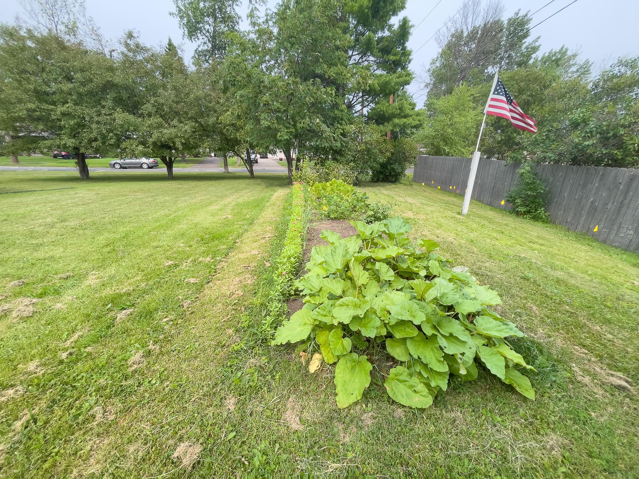 11 Ives Road Property Photo 37