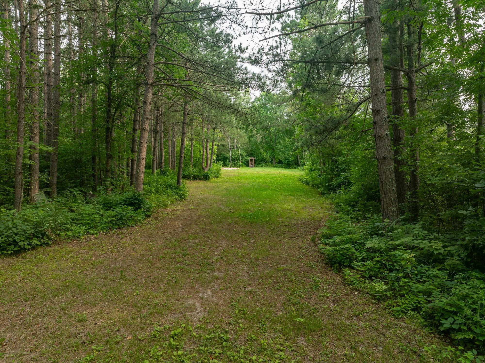 Tbd Hanson Lake Rd Property Photo 3