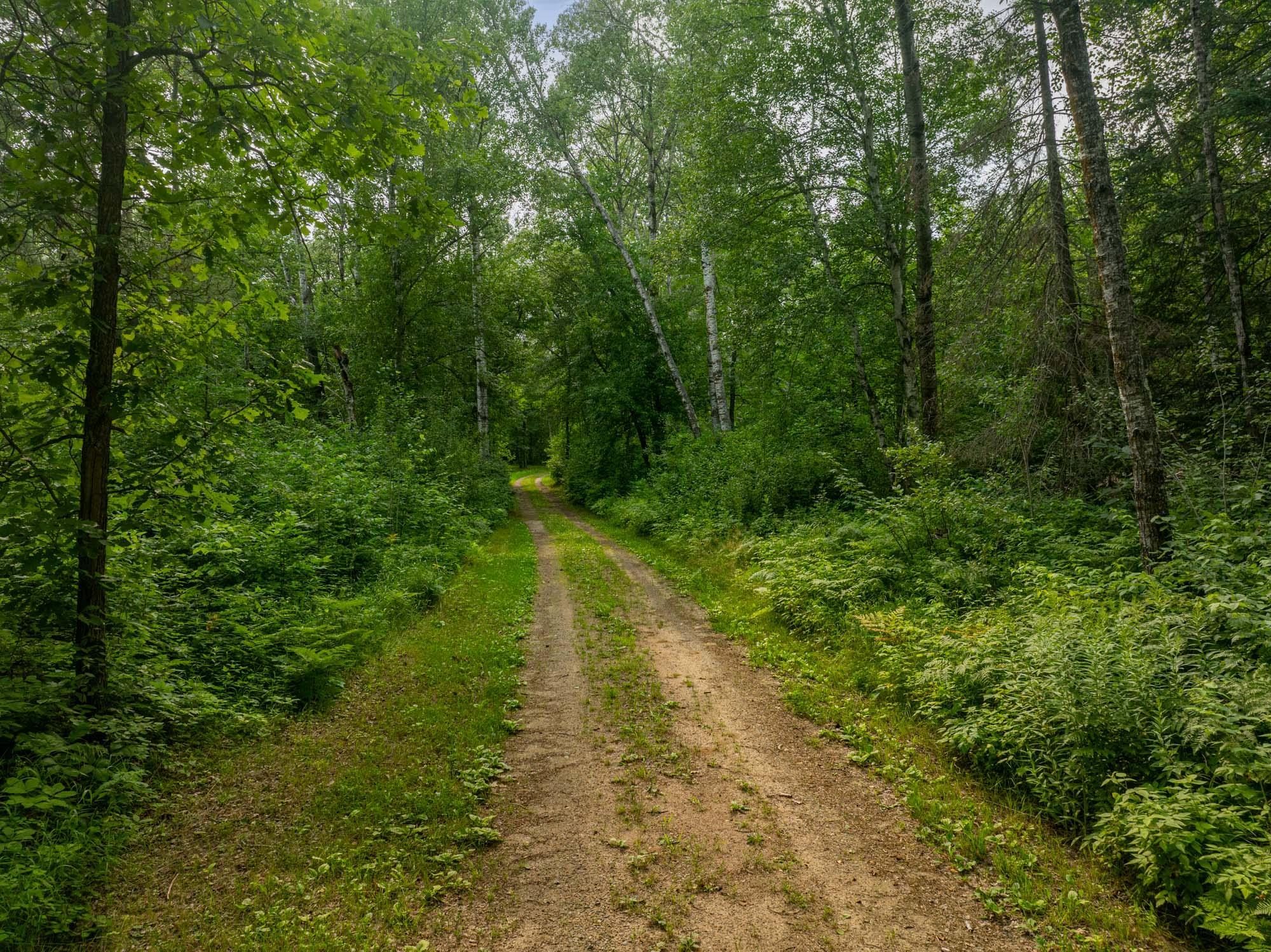 Tbd Hanson Lake Rd Property Photo 7