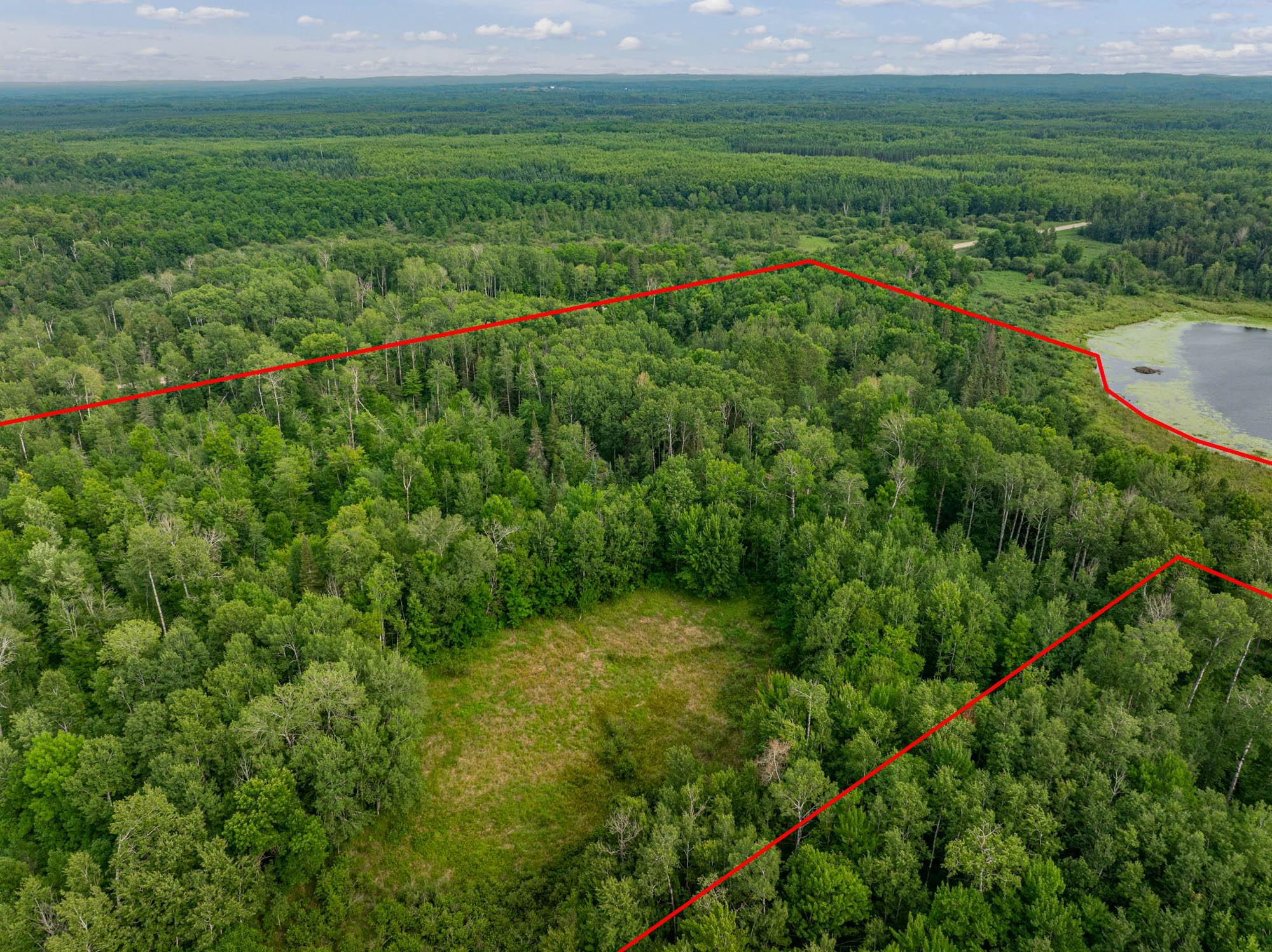 Tbd Hanson Lake Rd Property Photo 12