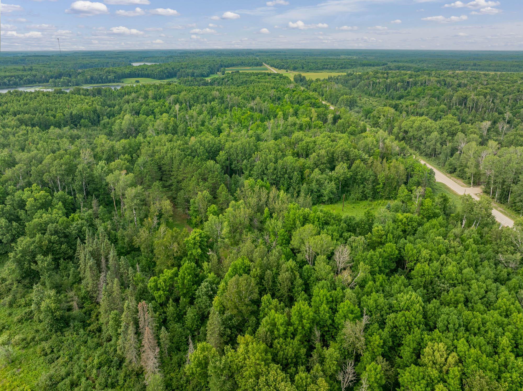 Tbd Hanson Lake Rd Property Photo 13