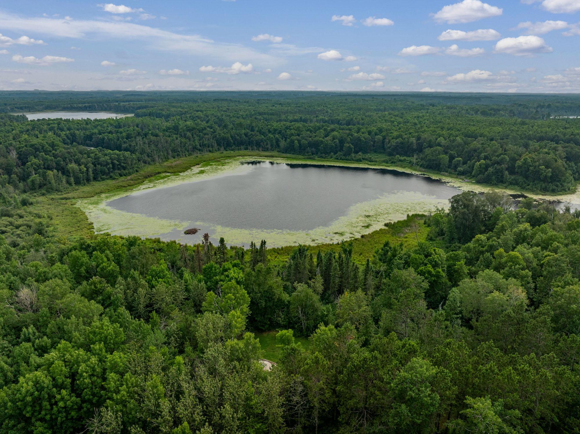 Tbd Hanson Lake Rd Property Photo 14