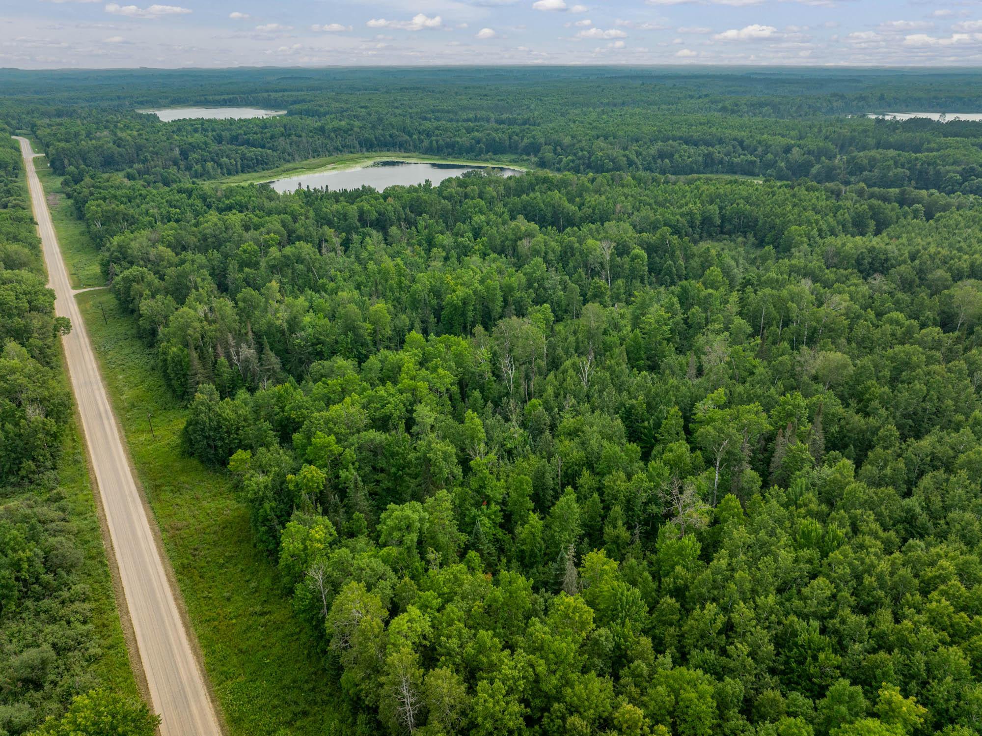 Tbd Hanson Lake Rd Property Photo 16