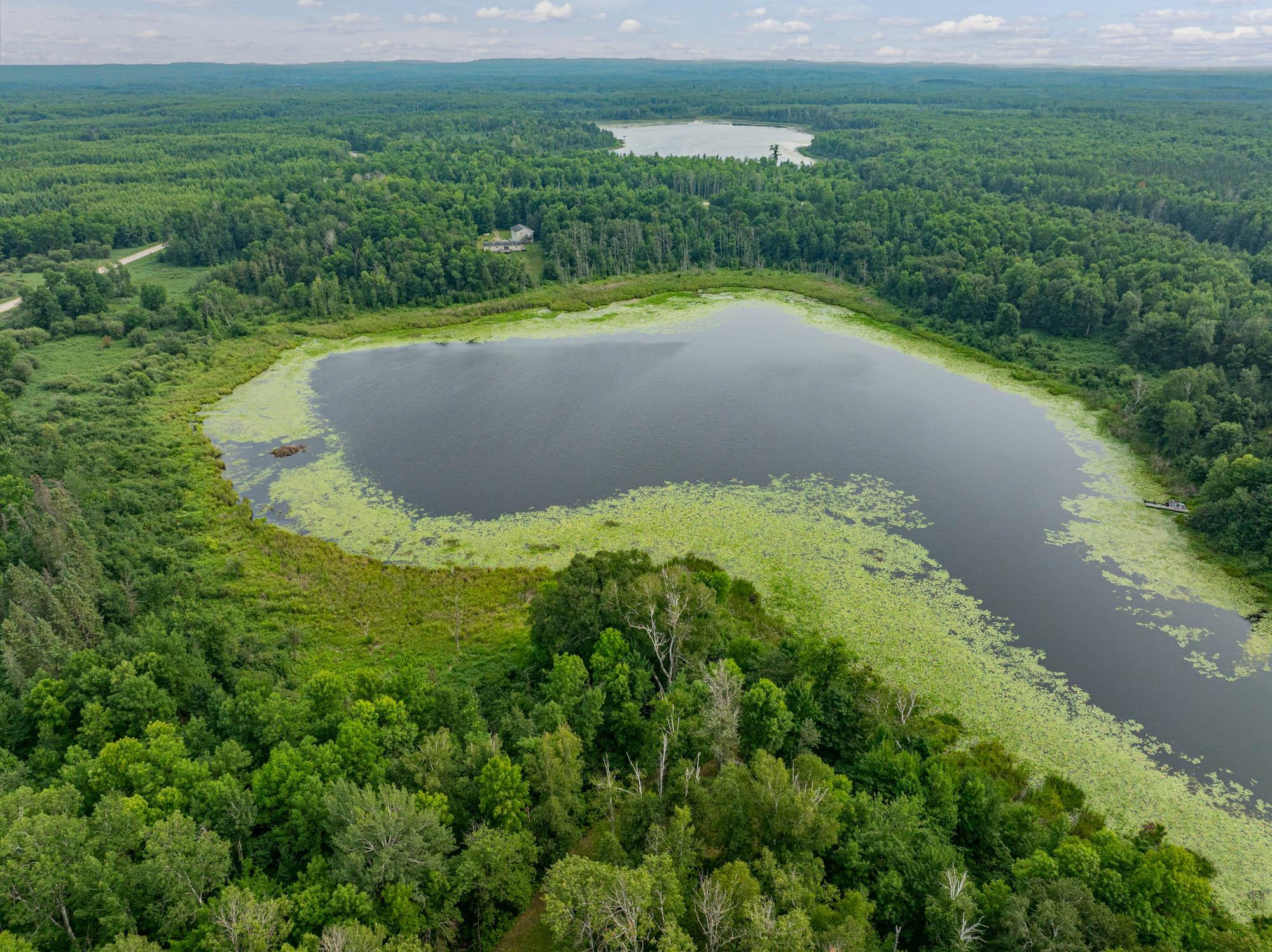Tbd Hanson Lake Rd Property Photo 17