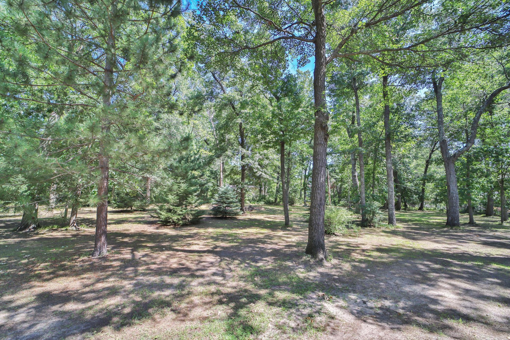 6205 Donald Street Property Photo 66