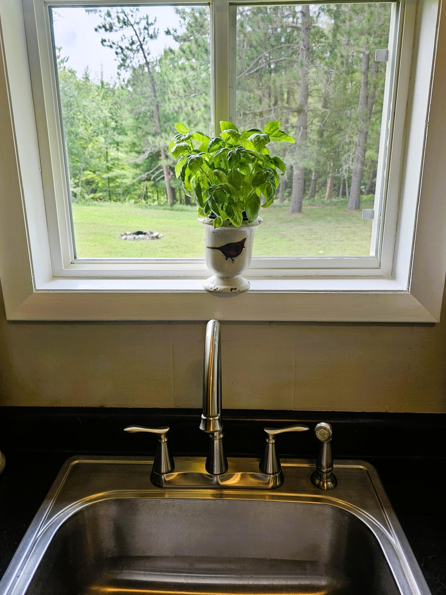 4822 Setting Sun Trail Way Property Photo 20