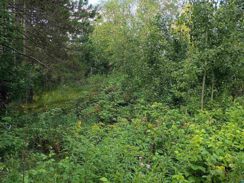 3619 Highway 33 Property Photo 4