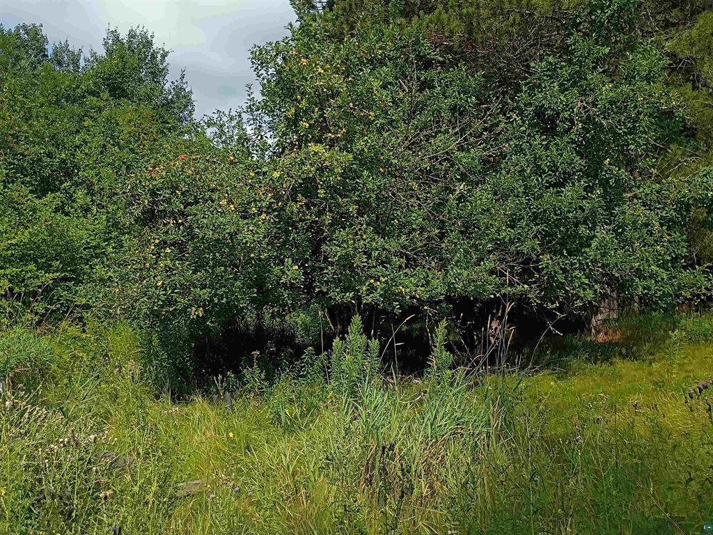 3619 Highway 33 Property Photo 5