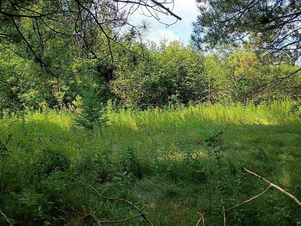 3619 Highway 33 Property Photo 6