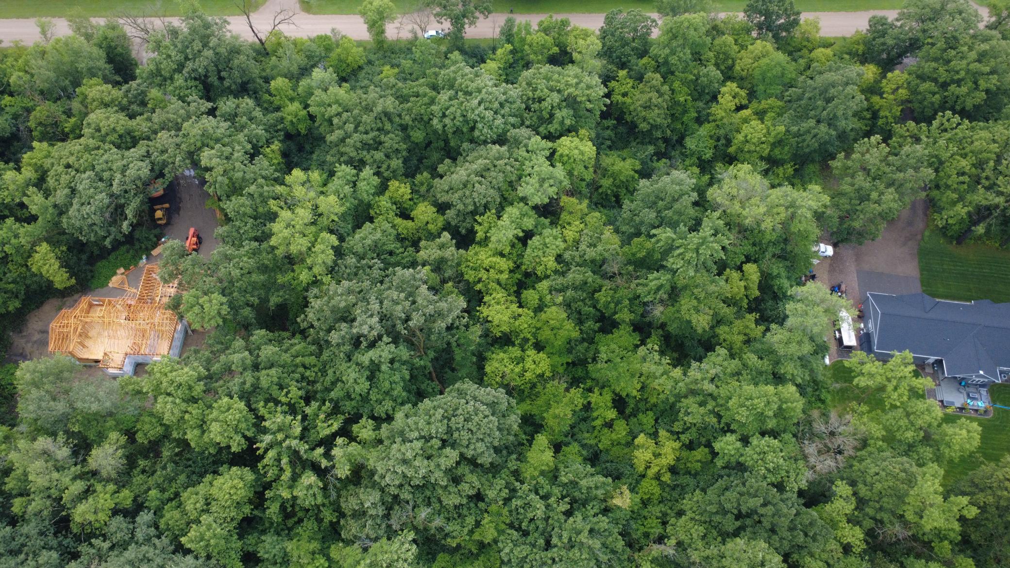 Tbd Elderberry Court Property Photo 6