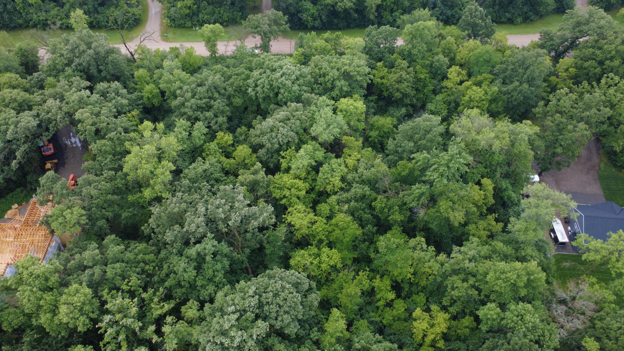 Tbd Elderberry Court Property Photo 7