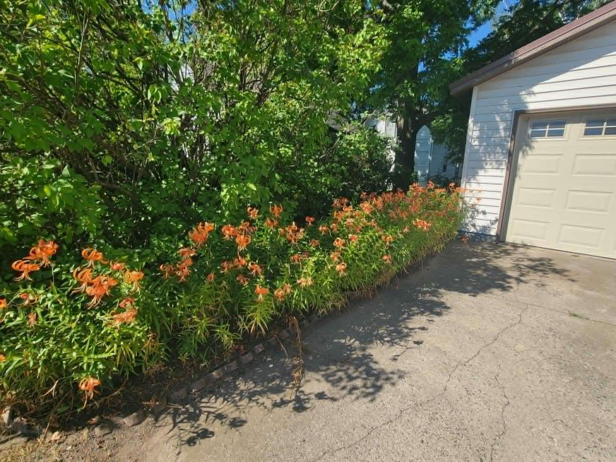 460 4th Avenue S Property Photo 25