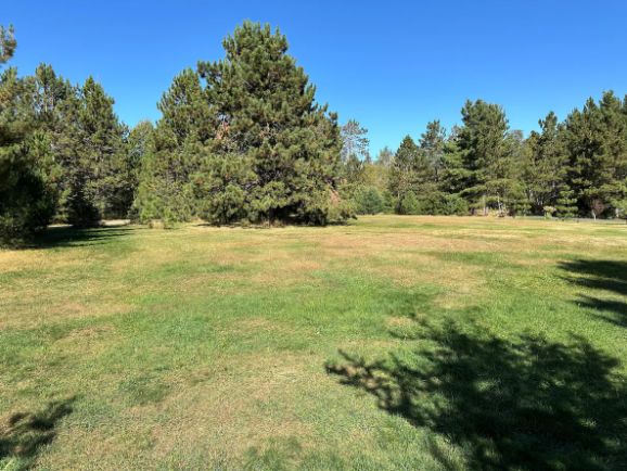 33231 Sky West Trail Property Photo 28
