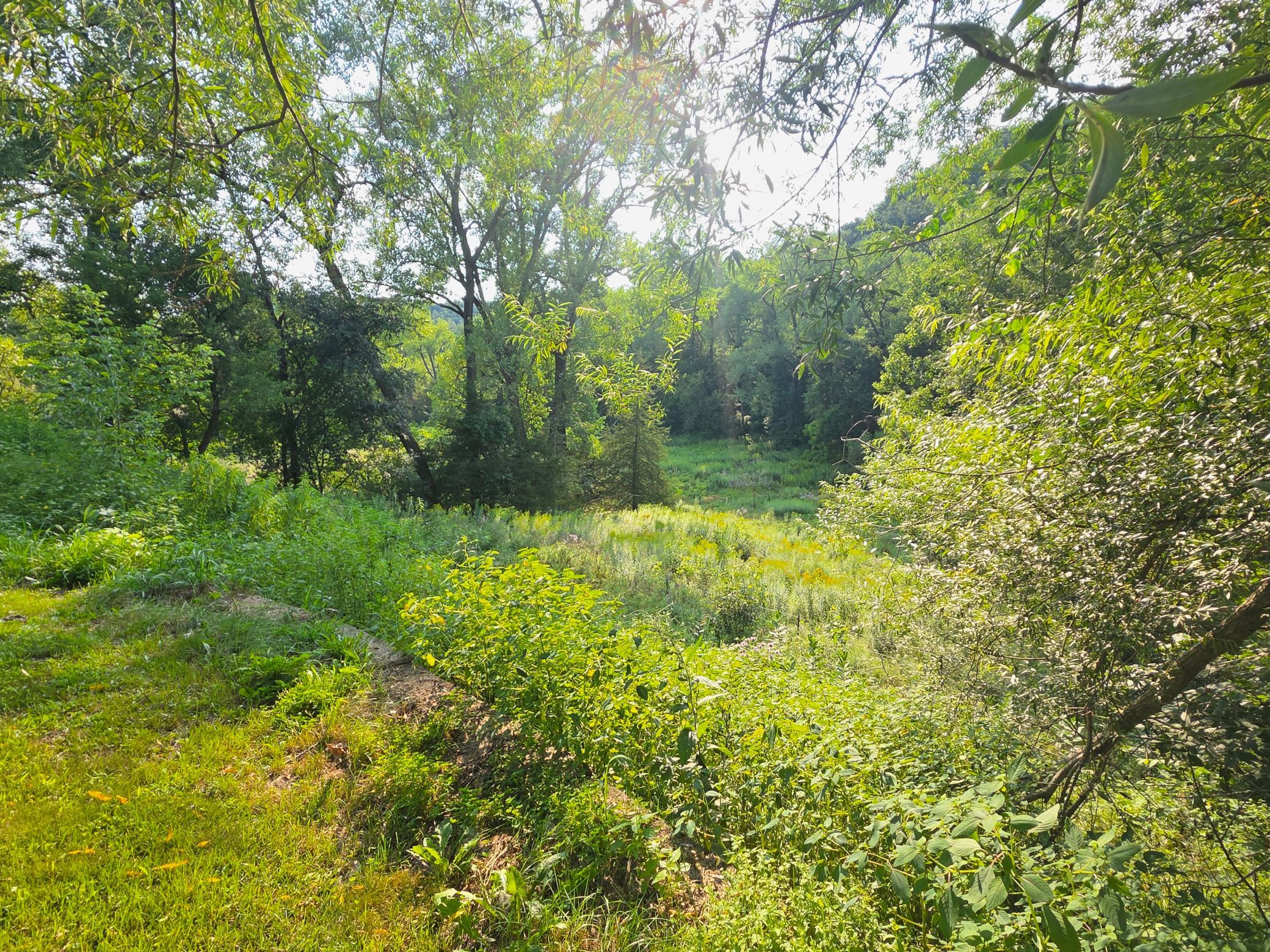 4488 Ferndale Road Property Photo 15