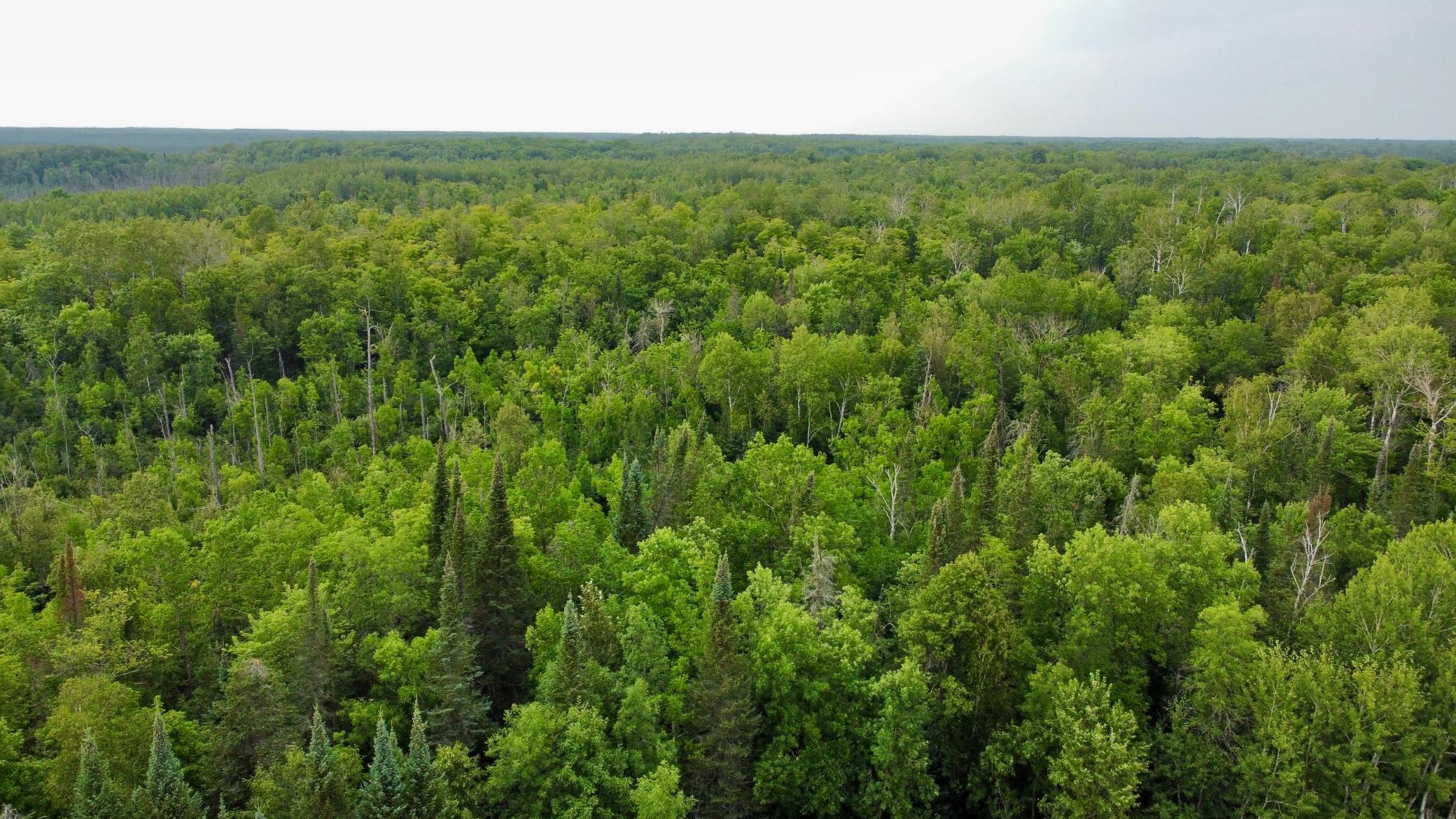 15512 Highway 27 Property Photo 1