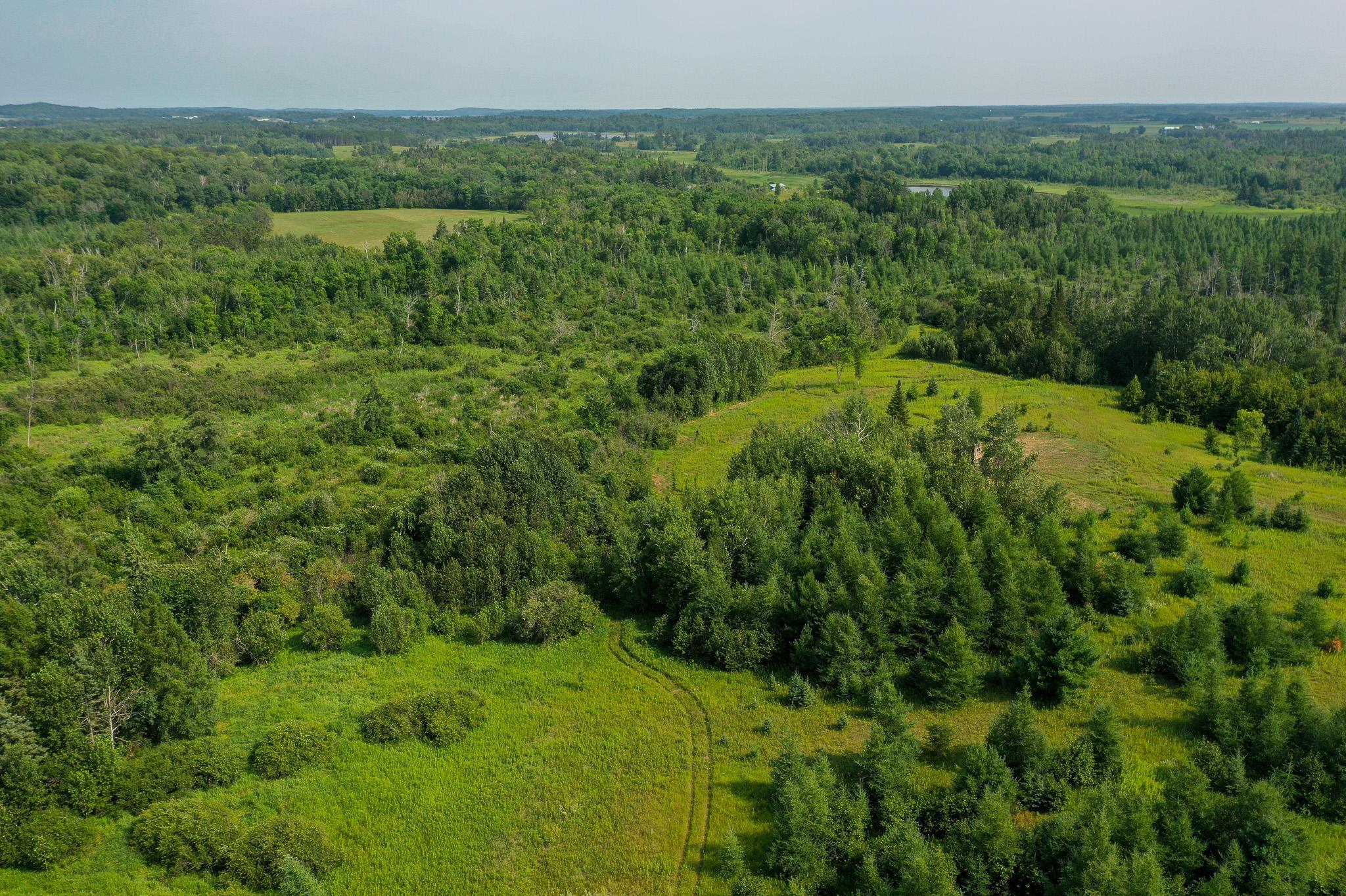 Tbd Wilderness Drive Property Photo 2