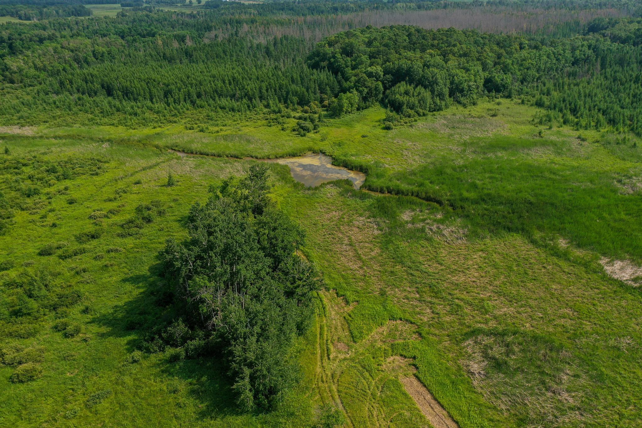 Tbd Wilderness Drive Property Photo 9