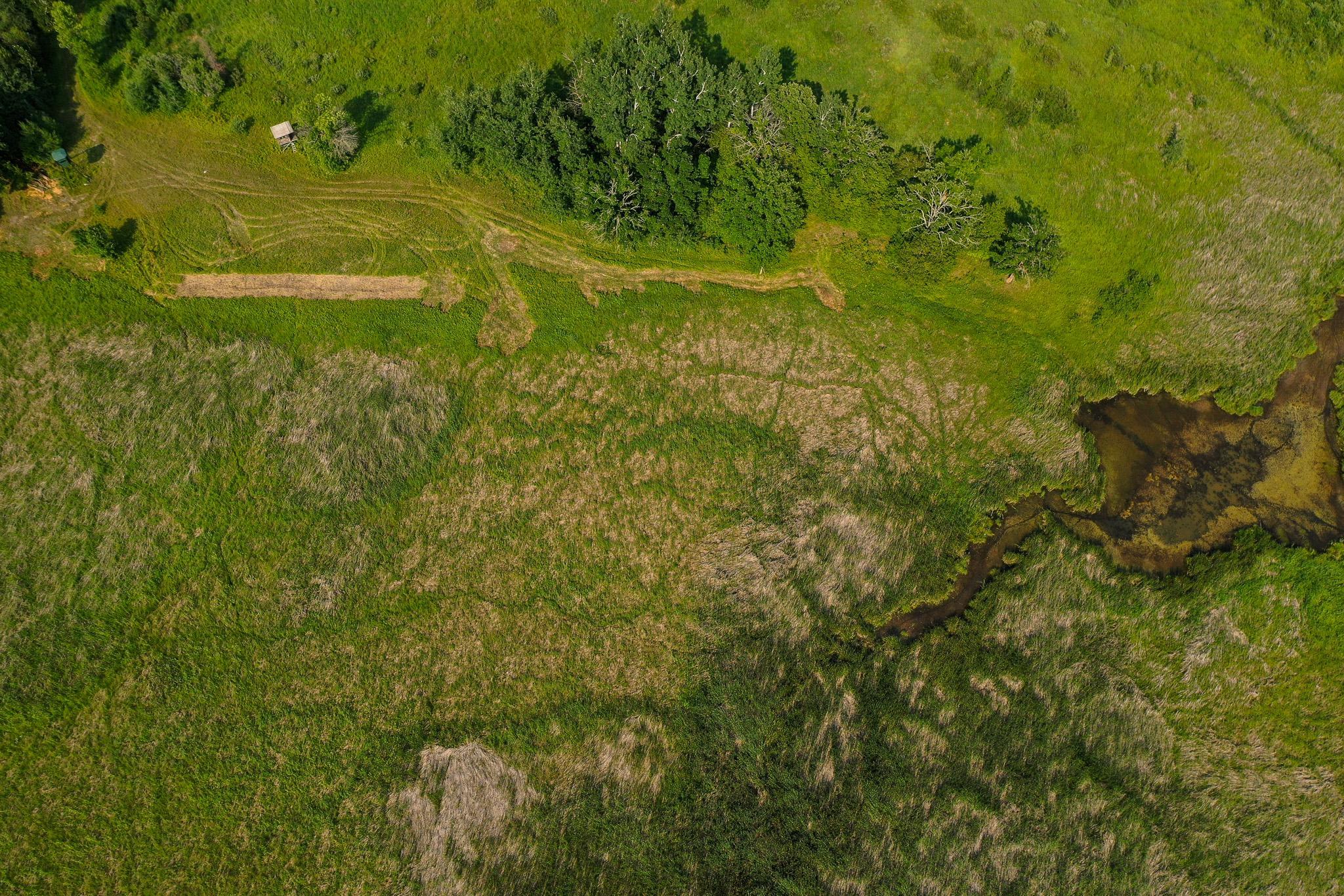 Tbd Wilderness Drive Property Photo 13