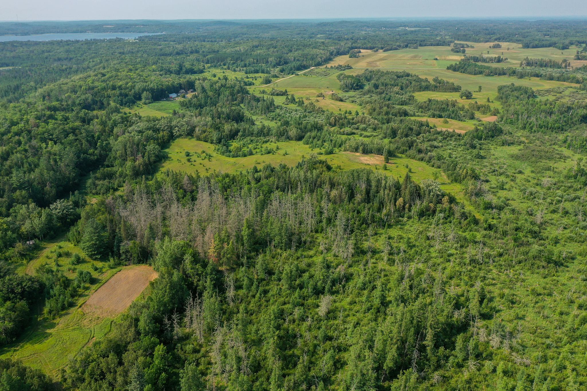 Tbd Wilderness Drive Property Photo 14