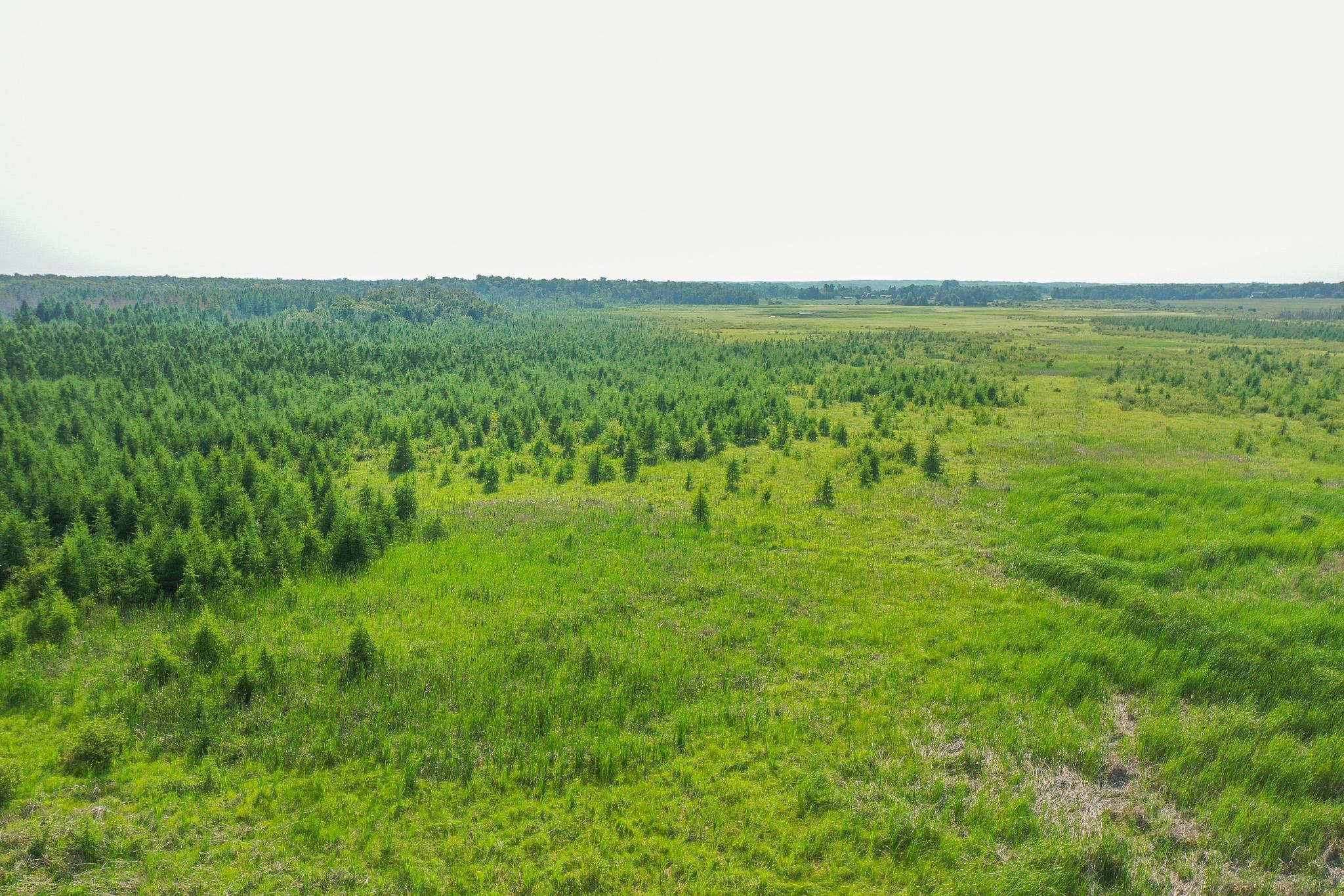 Tbd Wilderness Drive Property Photo 20