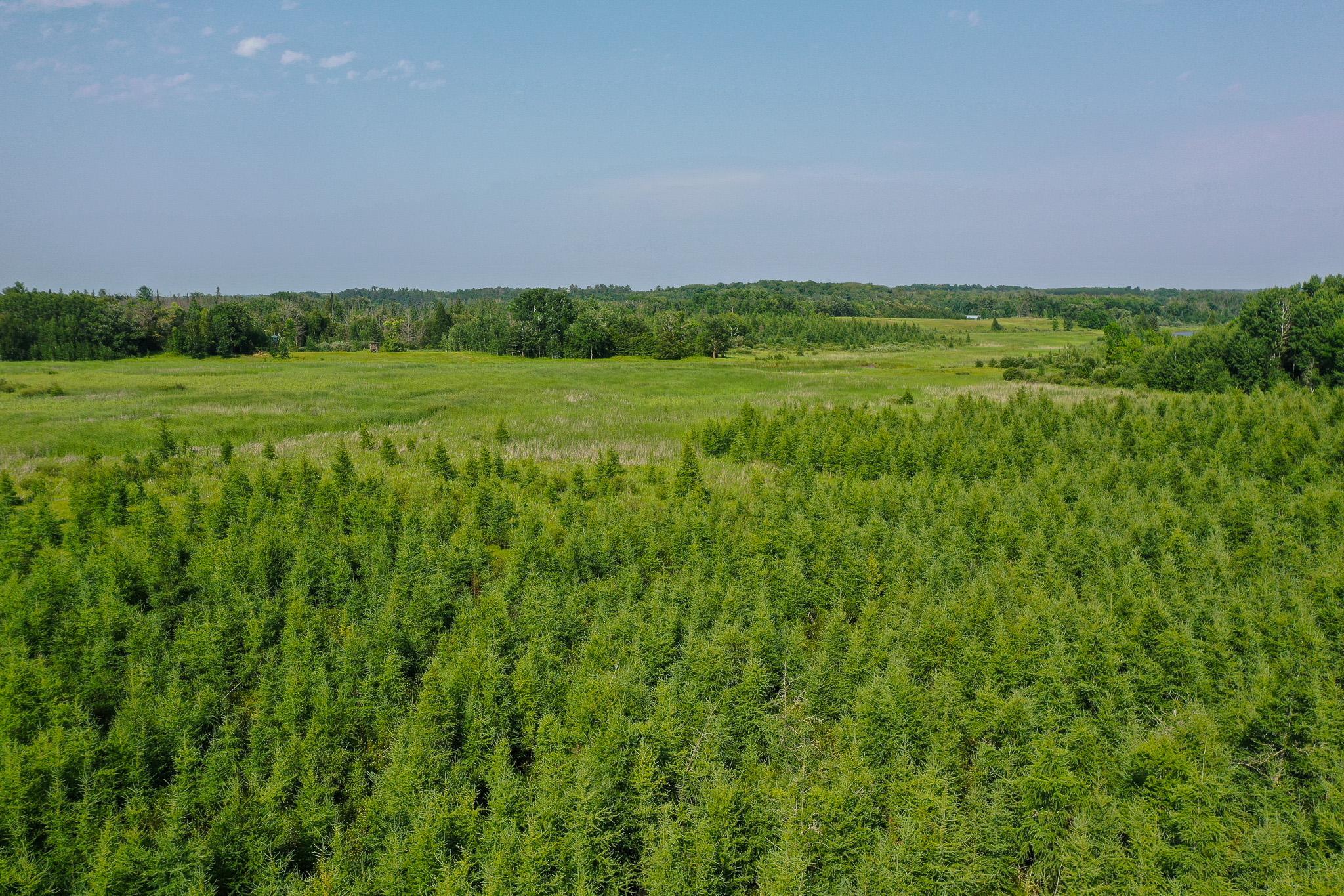 Tbd Wilderness Drive Property Photo 21