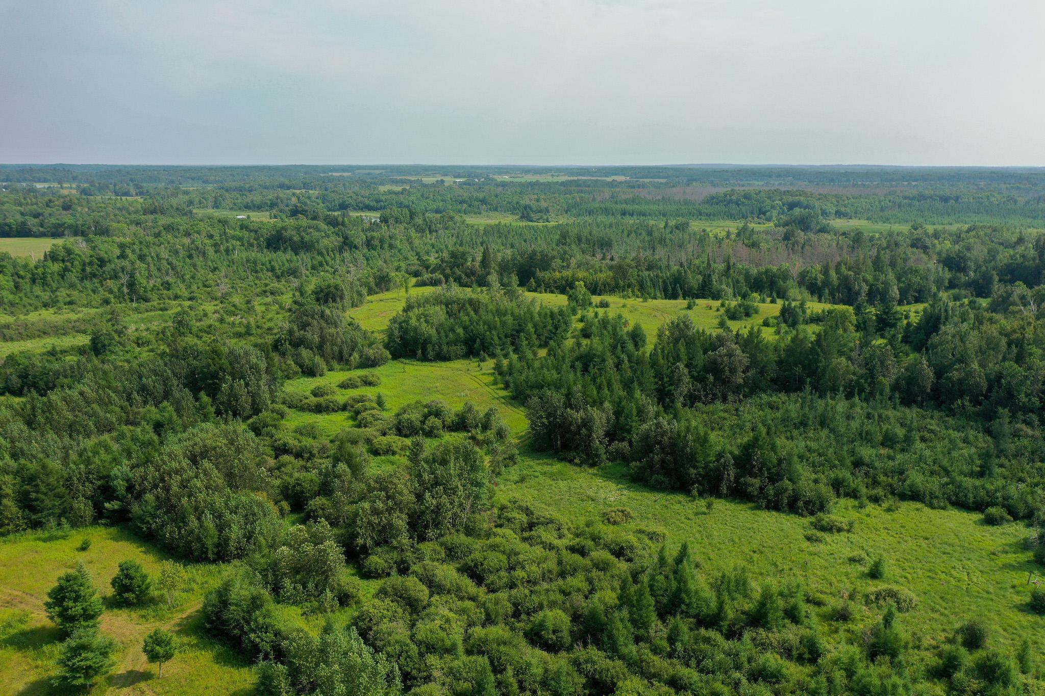 Tbd Wilderness Drive Property Photo 33