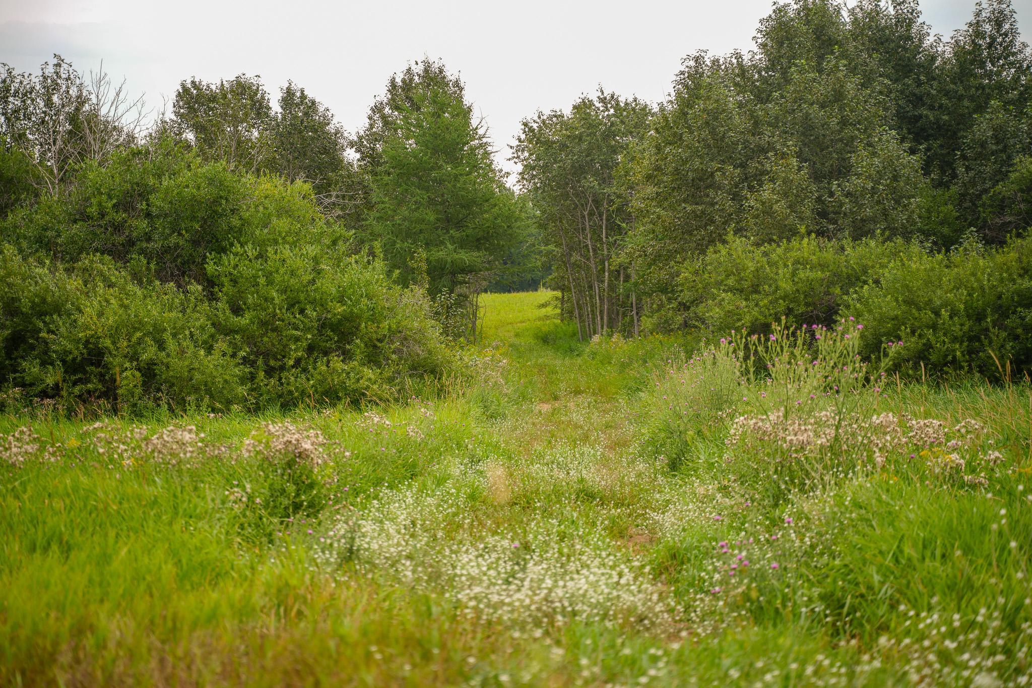 Tbd Wilderness Drive Property Photo 35