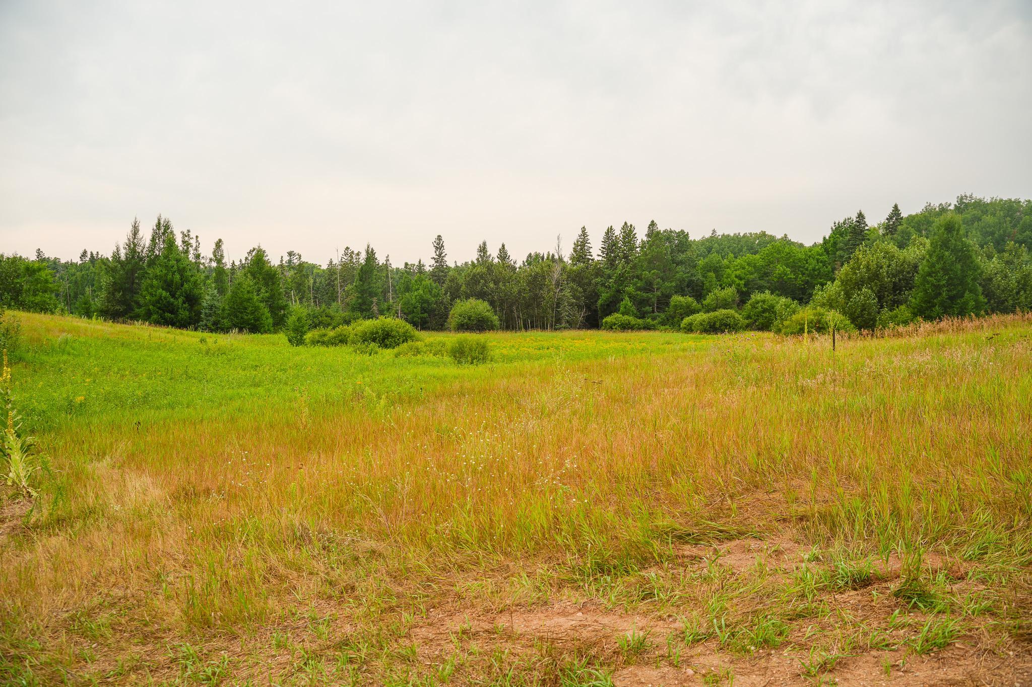 Tbd Wilderness Drive Property Photo 36