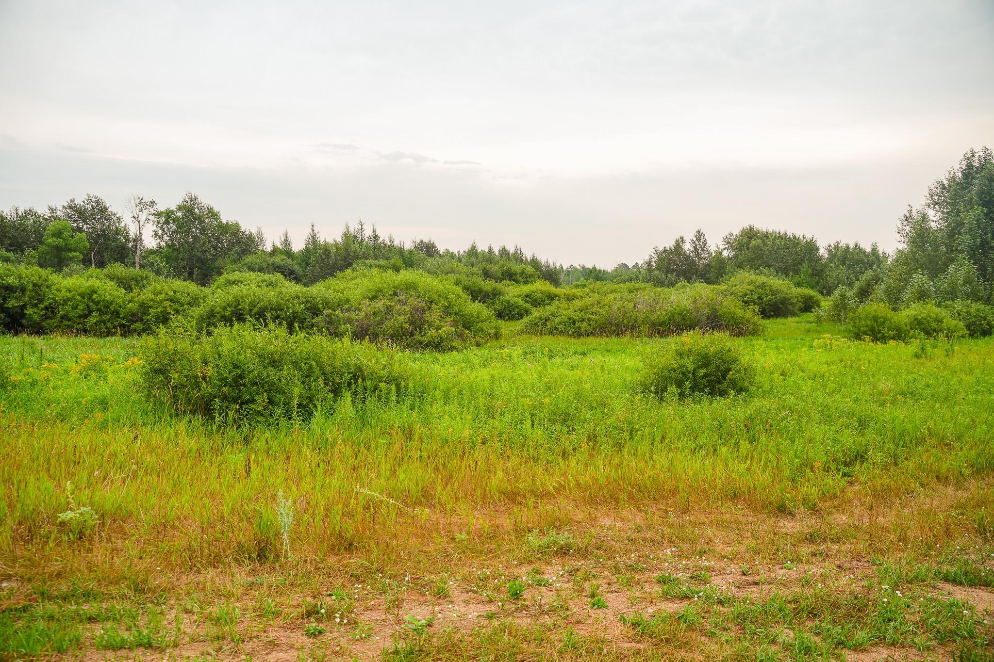 Tbd Wilderness Drive Property Photo 37