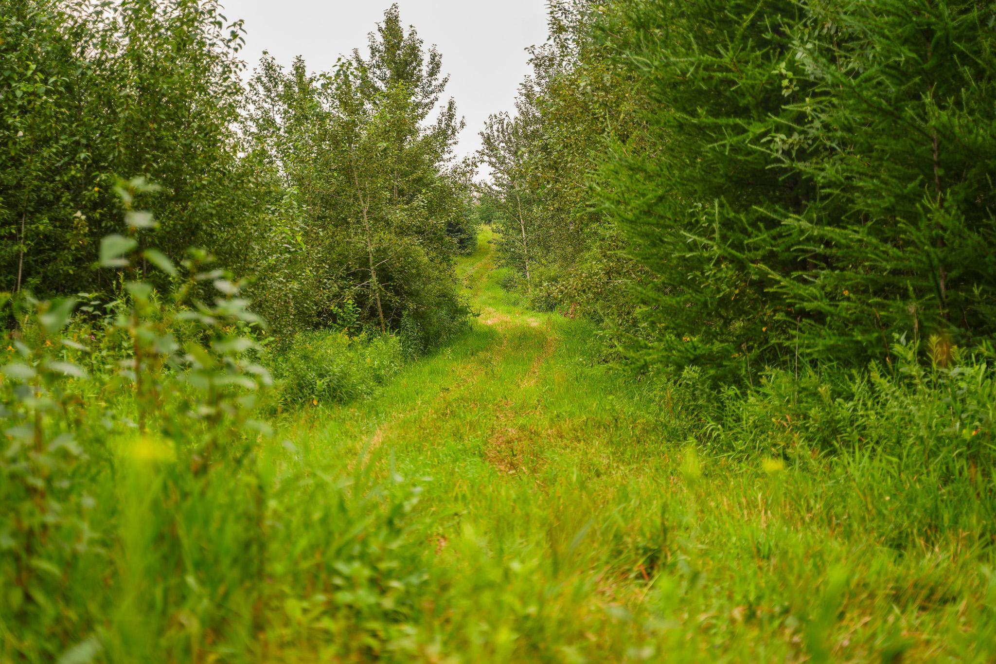 Tbd Wilderness Drive Property Photo 40