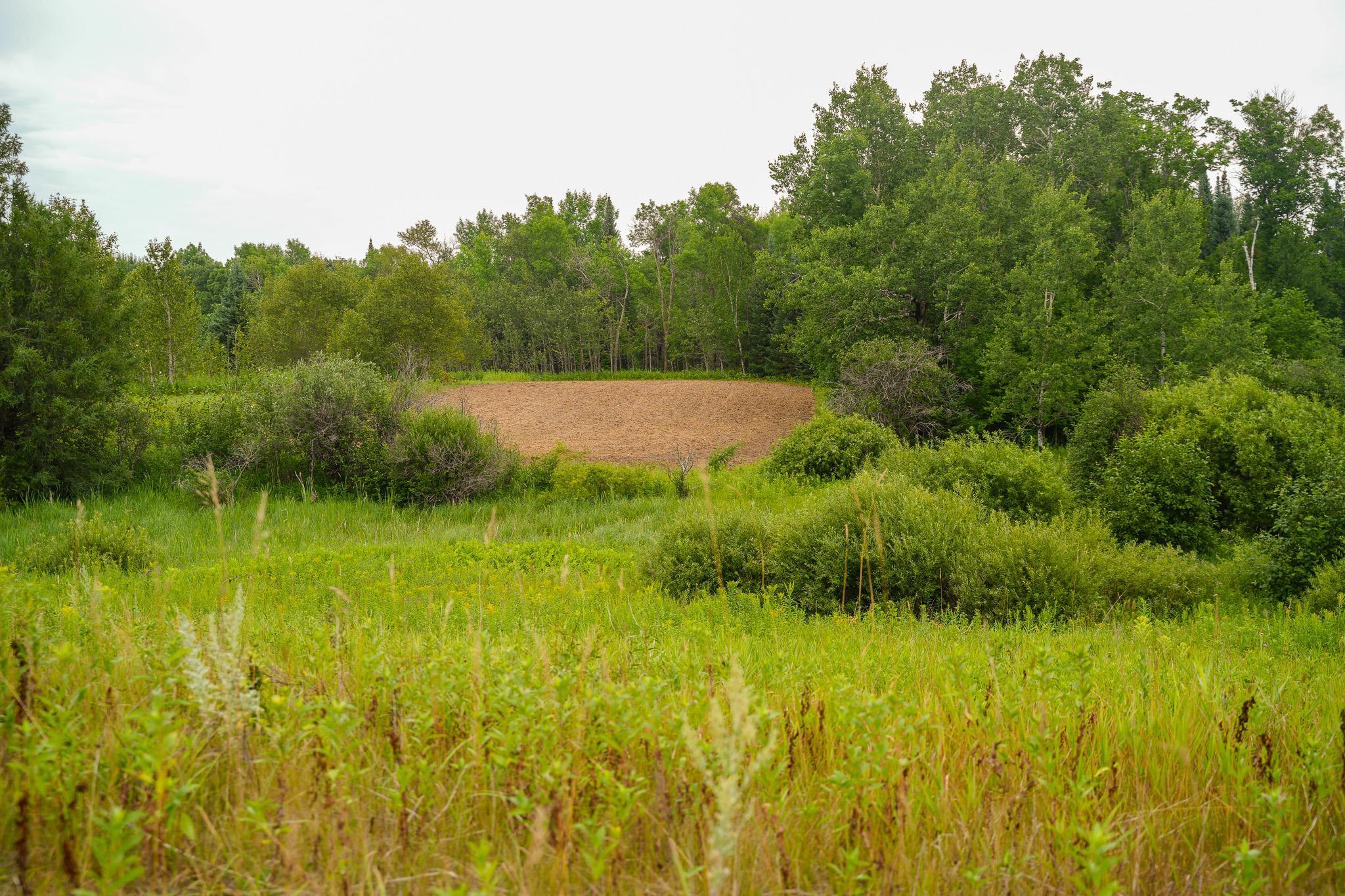 Tbd Wilderness Drive Property Photo 43