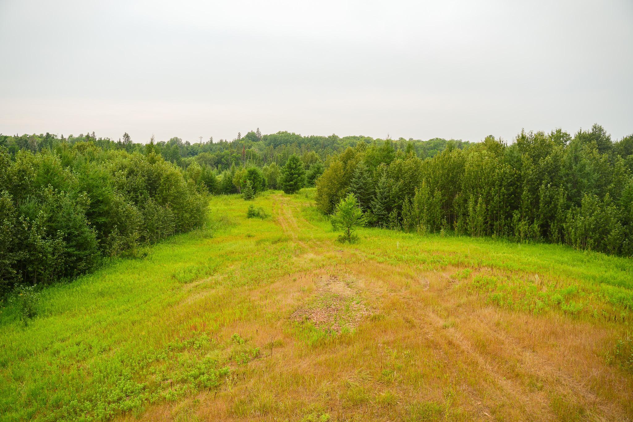 Tbd Wilderness Drive Property Photo 45