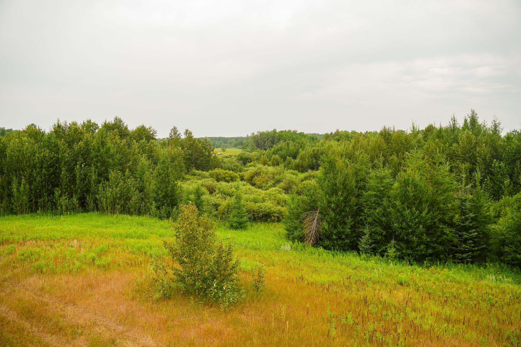 Tbd Wilderness Drive Property Photo 46