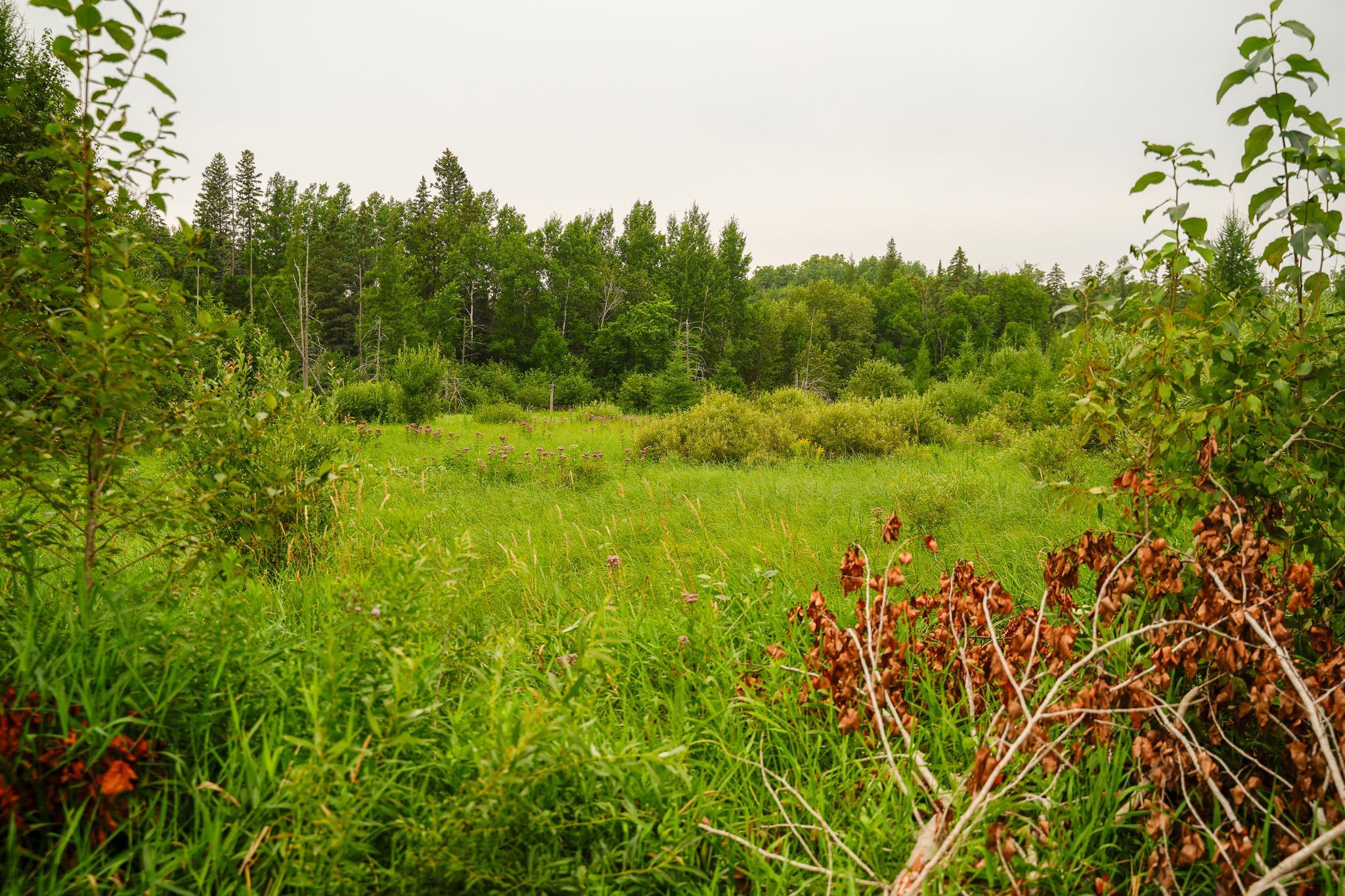 Tbd Wilderness Drive Property Photo 48