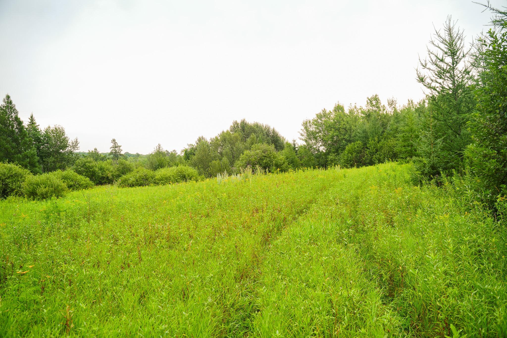 Tbd Wilderness Drive Property Photo 49