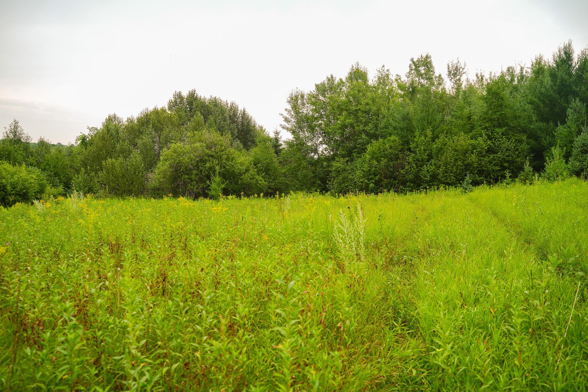 Tbd Wilderness Drive Property Photo 50