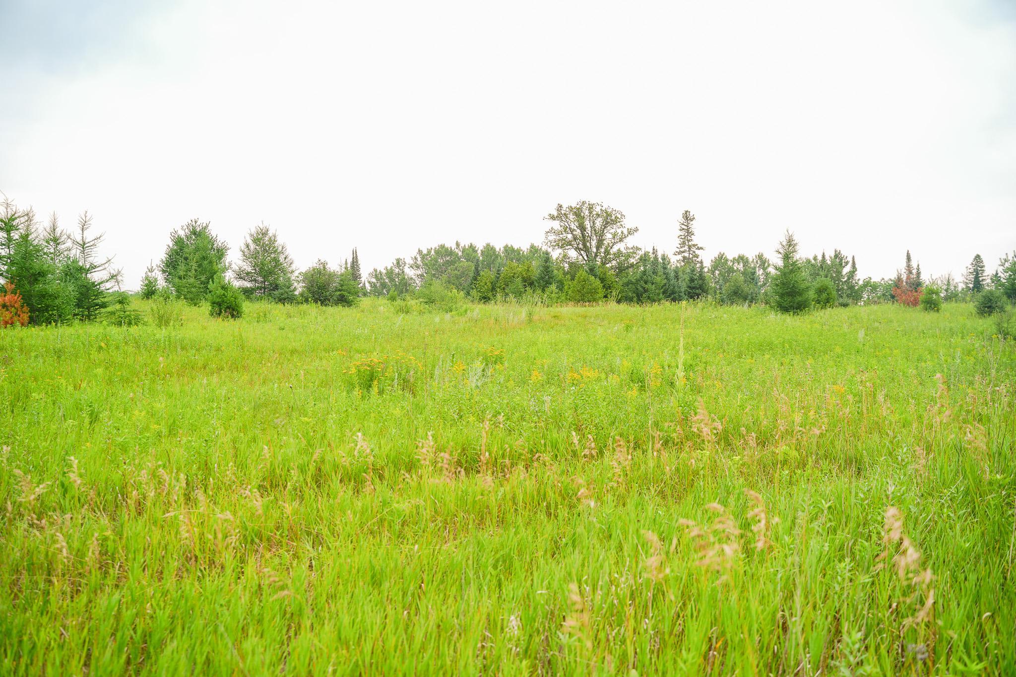 Tbd Wilderness Drive Property Photo 51