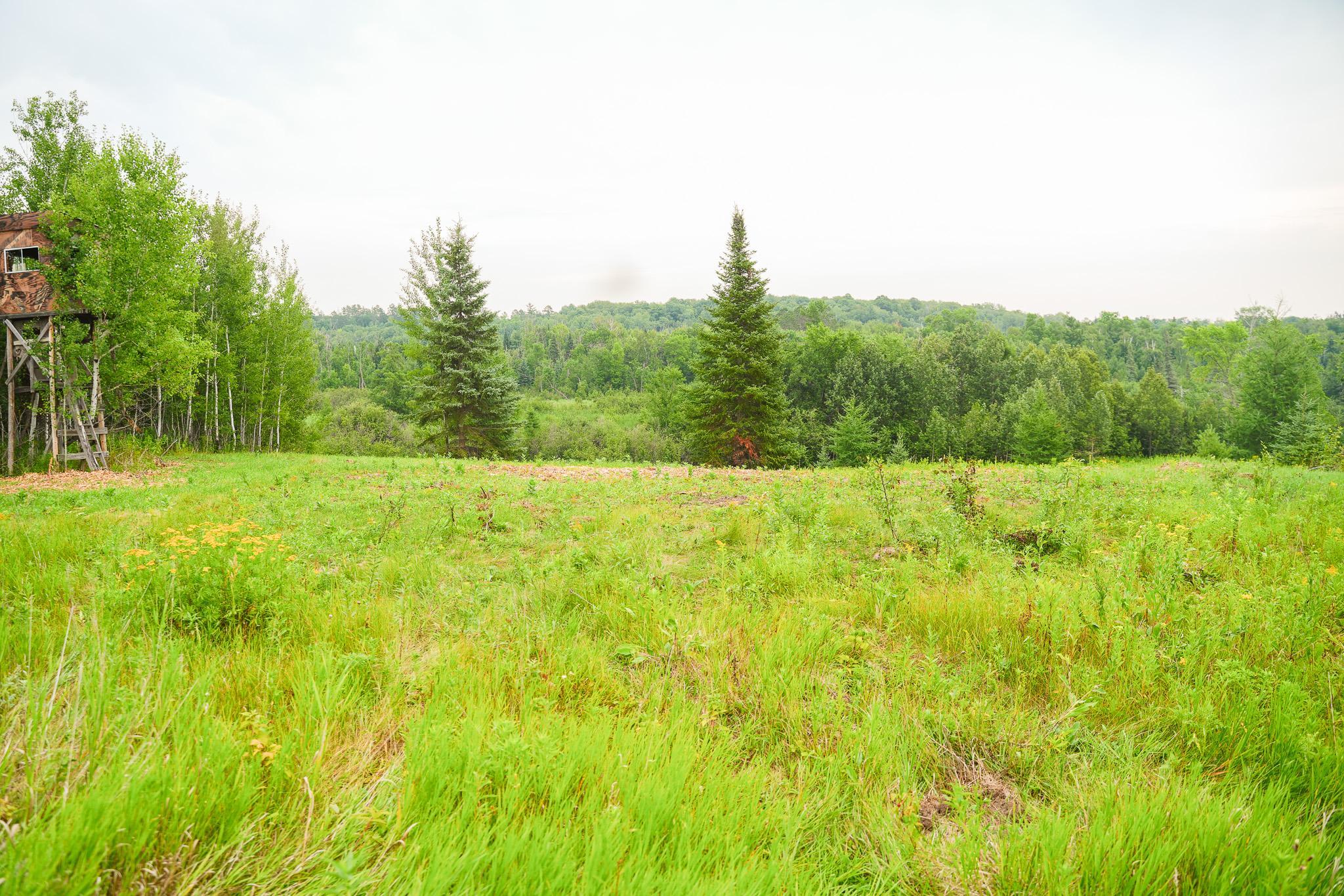Tbd Wilderness Drive Property Photo 53