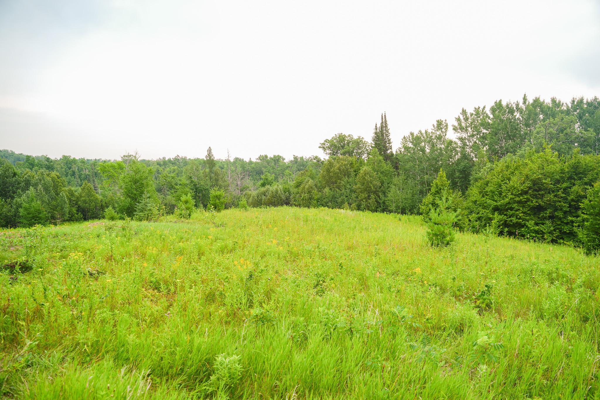 Tbd Wilderness Drive Property Photo 54