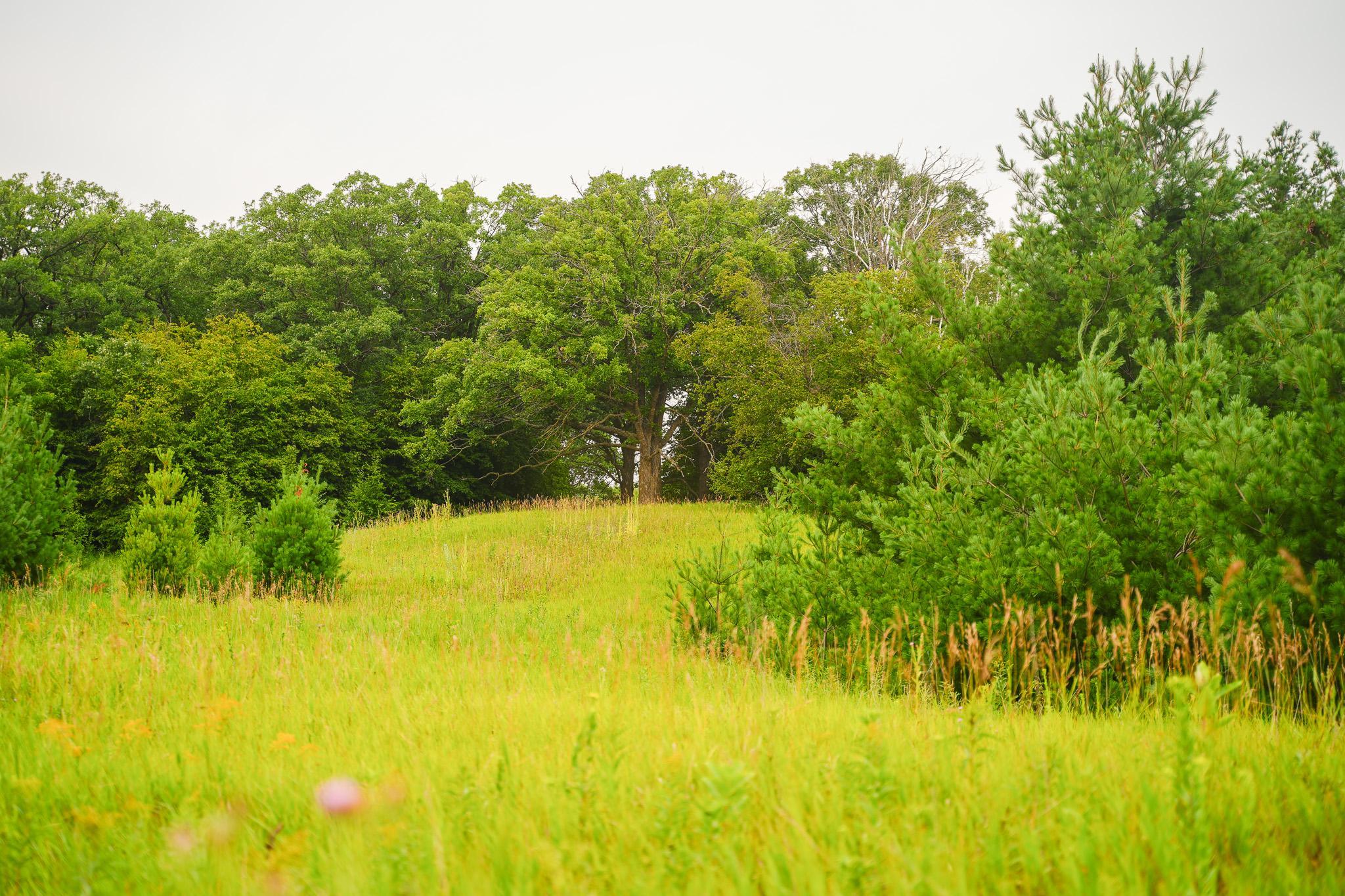 Tbd Wilderness Drive Property Photo 56