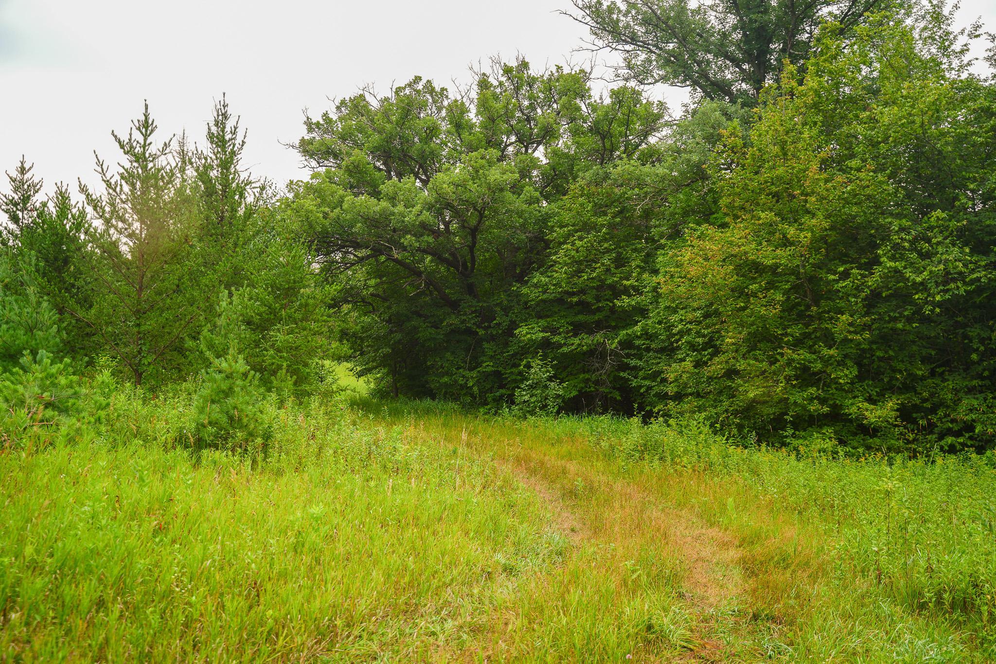 Tbd Wilderness Drive Property Photo 59